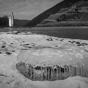 Rheinufer im Winter 4097