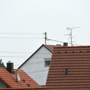 DSC 8713