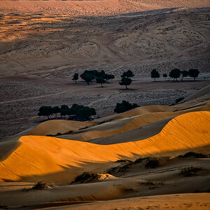 Wahiba Desert, ausserhalt des 1000 Night Camps