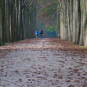 Schwetzingen allee