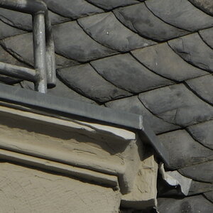 test2 dx55 300 f56 gut crop