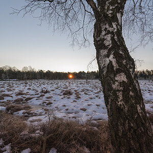 Wurzacher Ried 20150106 082129