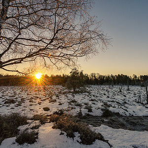 Wurzacher Ried 20150106 084017
