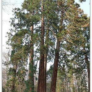 DSCF5243 stitch, 20150106
Pano aus sieben Queraufnahmen
Fujifilm X20