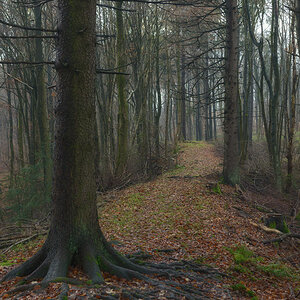 Donnersberg, Keltenweg