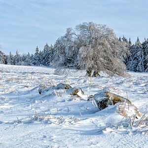 Rhön Winter 2015 TonalContrast