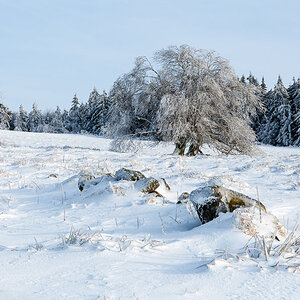 Rhön Winter 2015 TonalContrast standard