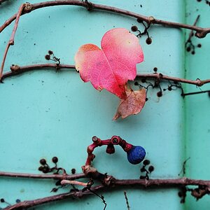 herbst 2
