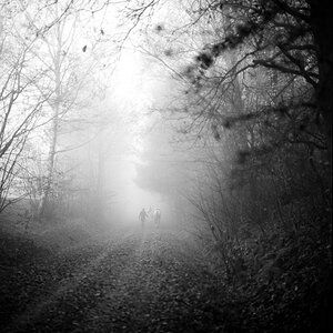 Nebel