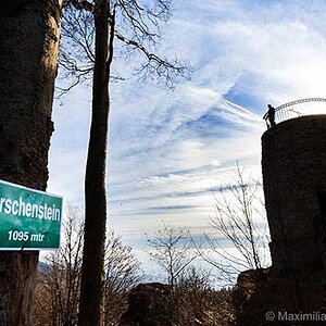 ©MaximilianWeinzierl©MaximilianWeinzierlM81 5558