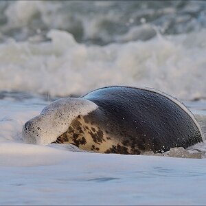 aacomp helgoland 20141229 7060