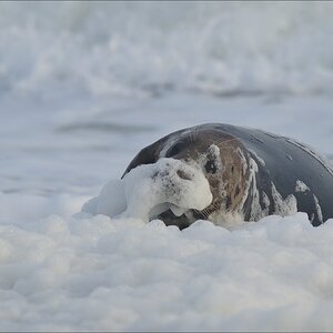 aacomp helgoland 20141227 1744