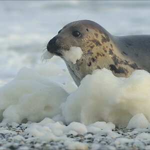 aacomp helgoland 20141227 1777