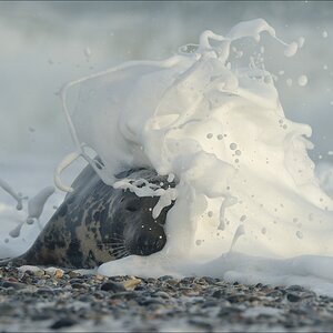aacomp helgoland 20141227 1525