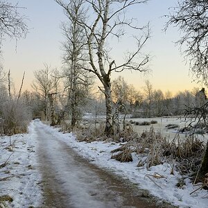 Schwenninger Moos Schwarzwald 2015 00113