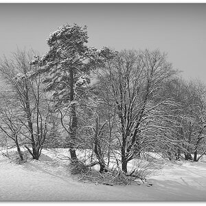 130209 Pano 040 SW, 20130209
D700 70-200/2,8 künstlich vignettiert