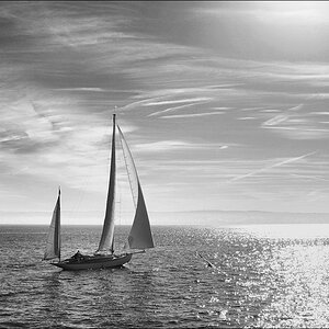 comp DSC00798 1 SW