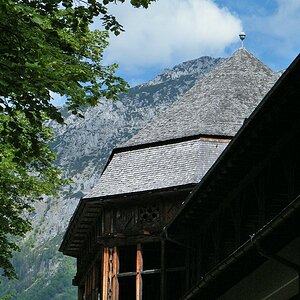 DSCF0881