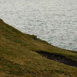 Schafabtrieb 20141012 153703 island 2014