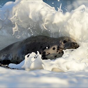aacomp helgoland 20141228 3373a
