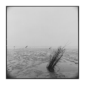 W 1
