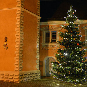 weihnachtsbaum ladenburg