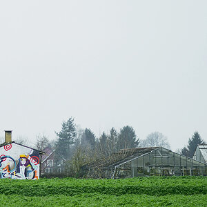 9800grafitti