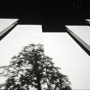 Image5 Bearbeitet