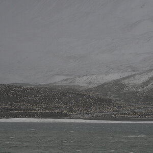 s1480 AndrewsBay 9140