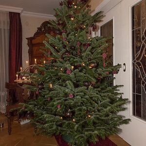 Christbaum