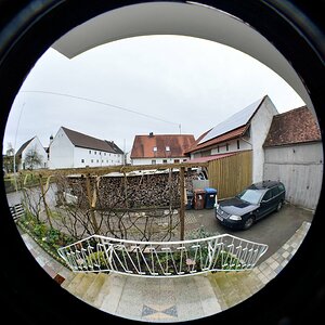 DSC 8772