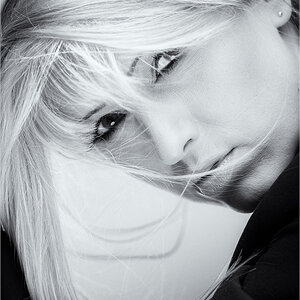 D80 6924 web