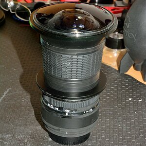 DSC 8771