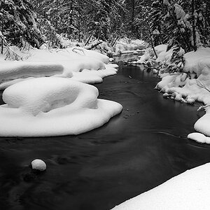 HJN Winter 5
