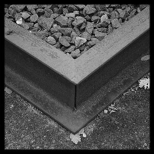 Herbst im Schöneberger Südgelände