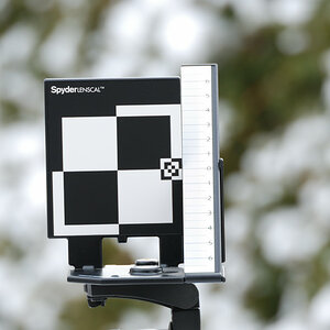 300mm