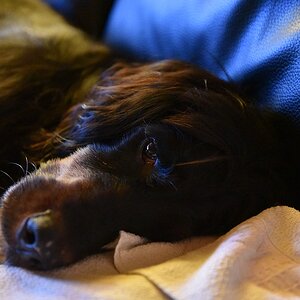 ISO 12800 ooc