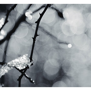 winterlichter