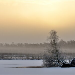 aacomp hasenmoor 20150125 01043000