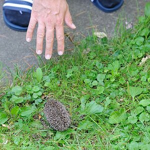 2014 08 12 18 41 32 D70 1916 copy