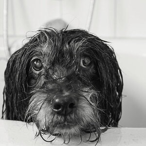 nubo badewanne klein