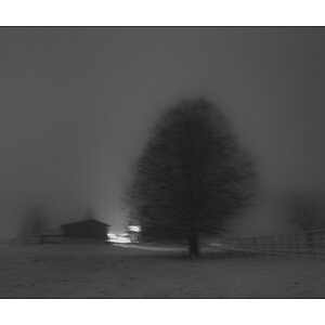 SchneeDSC 5636