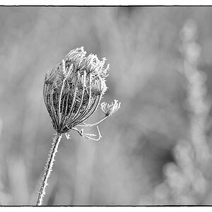 F005601c
