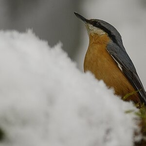 2014 15721