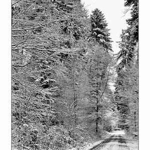 SchneePZ1 4299