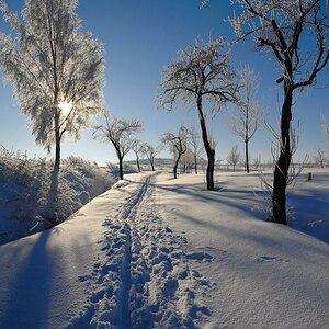 winter