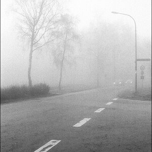 cR141203 016 1