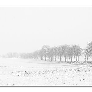schneetreiben