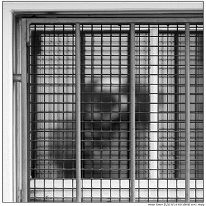Hinter Gitter