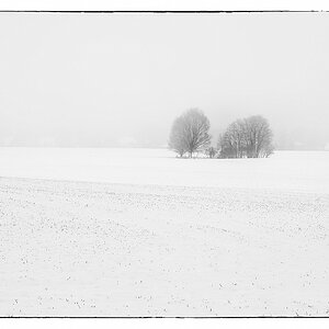 F005637c